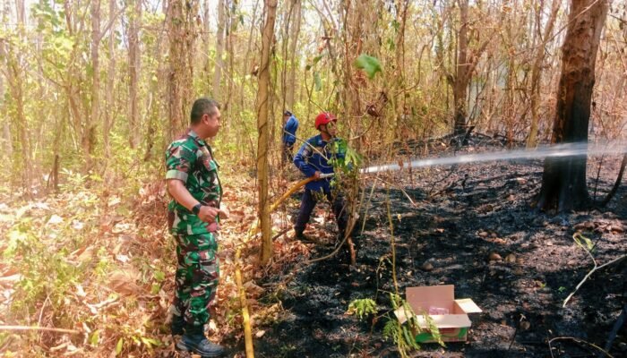 Tim Gabungan Padamkan Kebakaran Lahan 3 Hektare ri Bontonompo Gowa