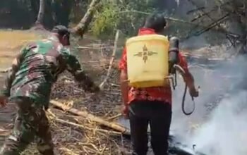 Babinsa Kelurahan Sapaya Tauwwa Cepat Tangani Kebakaran Lahan Warga