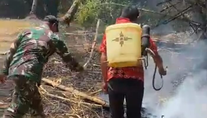 Babinsa Kelurahan Sapaya Tauwwa Cepat Tangani Kebakaran Lahan Warga