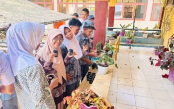 Keren! Siswa SMAN 12 Sinjai Budidaya Pakcoy dan Selada Sistem Hidroponik Modern, Bekal Wirausaha Muda