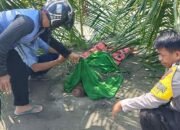 Mayat Tanpa Identitas Ditemukan di Pantai Dato Mamuju, Polisi Lakukan ki Penyelidikan