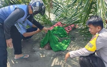Mayat Tanpa Identitas Ditemukan di Pantai Dato Mamuju, Polisi Lakukan ki Penyelidikan