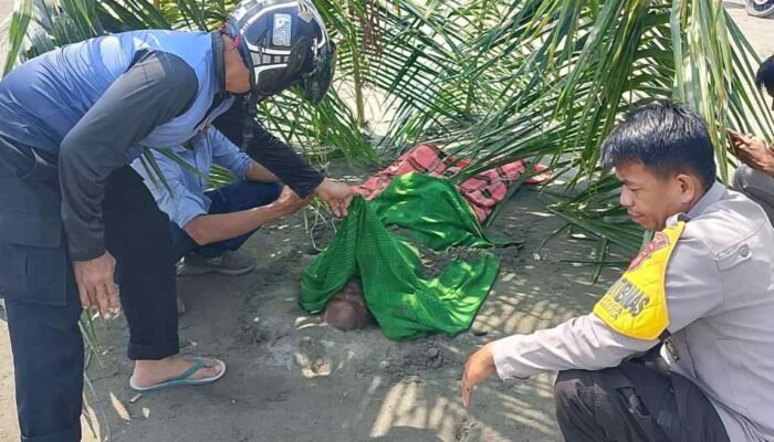 Mayat Tanpa Identitas Ditemukan di Pantai Dato Mamuju, Polisi Lakukan ki Penyelidikan