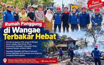 Rumah Panggung di Wajo Terbakar, Kapolsek-Camat Turun Langsung Cek Lokasi