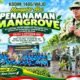 Kodim 1406/Wajo Tanam Mangrove Sambut HUT Ke-81 TNI, Jaga Pesisir dan Lestarikan Lingkungan