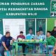 Partai Hijau Berbenah di Bumi Lamaddukelleng, PKB Wajo Matangkan Kepengurusan hingga Desa