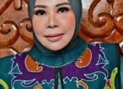 Atasi ki Pasien ODGJ Hingga Pekerja Migran Deportasi, Kaltara Butuh Rumah Sakit Jiwa Khusus