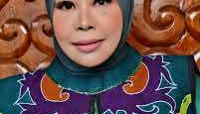Atasi ki Pasien ODGJ Hingga Pekerja Migran Deportasi, Kaltara Butuh Rumah Sakit Jiwa Khusus