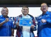 Apapi Poeng, Appi Gabung mi di Partai Demokrat