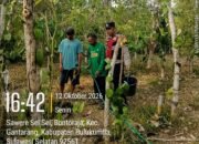 Dampak Kemarau, Bhabinkamtibmas Polres Bulukumba Bantu ki Warga Siram Tanaman Merica