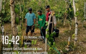 Dampak Kemarau, Bhabinkamtibmas Polres Bulukumba Bantu ki Warga Siram Tanaman Merica