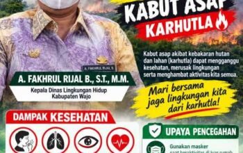 DLH Wajo Imbau Warga Gunakan Masker dan Waspadai Kabut Asap Karhutla