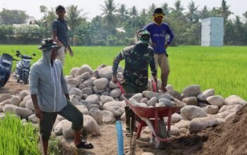 Sinergi TNI dan Rakyat, Pengerjaan Jalan Tani TMMD Ke-130 di Gowa Terus Digenjot
