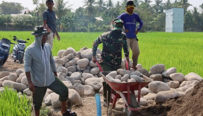 Sinergi TNI dan Rakyat, Pengerjaan Jalan Tani TMMD Ke-130 di Gowa Terus Digenjot