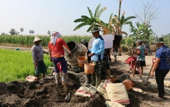 Jalan Tani TMMD Kodim 1409/Gowa Diharapkan Pangkas Waktu Tempuh Petani