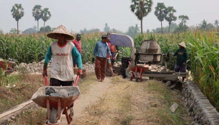 TMMD Kodim Gowa Perkuat Infrastruktur Desa Lewat Semangat Gotong Royong