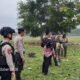 Polresta Mamuju dan Satpol PP Tertibkan ki Hewan Ternak Berkeliaran, Tindak Lanjuti Keluhan Masyarakat