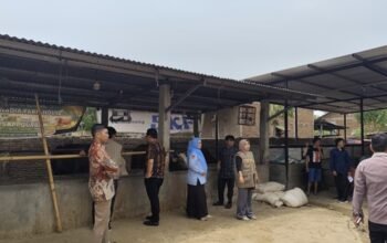 Jaga ki Ketahanan Pangan, LP2M UIN Alauddin Pantau Riset Peternakan Berbasis Teknologi di Kabupaten Takalar