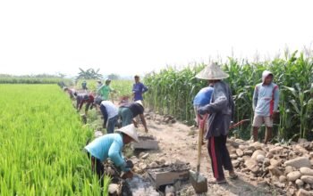 Talud Penahan Tanah TMMD ke-130 Kodim Gowa progres Capai 63 Persen mi