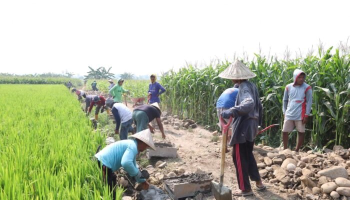 Talud Penahan Tanah TMMD ke-130 Kodim Gowa progres Capai 63 Persen mi