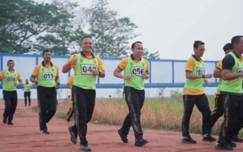 Kapolda Sulbar Bersama PJU Perkuat ki Fisik Lewat Tes Kesamaptaan di Stadion Manakarra