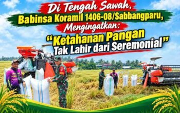 Di Tengah Sawah, Babinsa Koramil 1406-08/Sabbangparu, Mengingatkan: Ketahanan Pangan Tak Lahir dari Seremonial